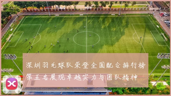 深圳羽毛球队荣登全国配合排行榜第五名展现卓越实力与团队精神