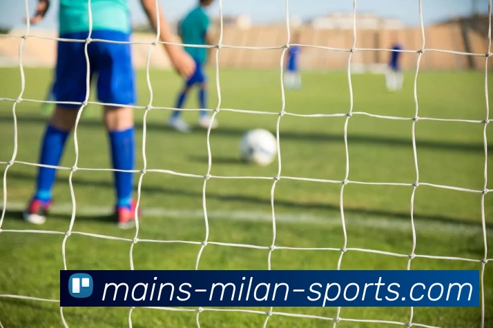 多媒体互动体验